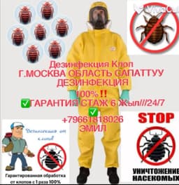 Дезинфекция Клоп Г.МОСКВА ОБЛАСТЬ САПАТТУУ ДЕЗИНФЕКЦИЯ 100%‼️ ✅ГАРАНТИЯ СТАЖ 6 Жыл///24/7✅‼️