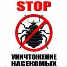 ДЕЗИНФЕКЦИЯ КЛОП ЖердешГ.МОСКВА ОБЛАСТЬ✅ САПАТТУУ ДЕЗИНФЕКЦИЯ 100%‼️ ✅ГАРАНТИЯ✅ СТАЖ 6 Жыл///24/7✅‼️