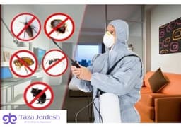 ✅ ЭКОНОМ ✅   ДЕЗИНФЕКЦИЯ