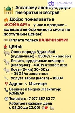 Ассаламу алейкум!