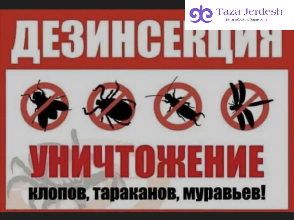 КЛОП ТАРАКАН ЖОК КЫЛАБЫЗ
