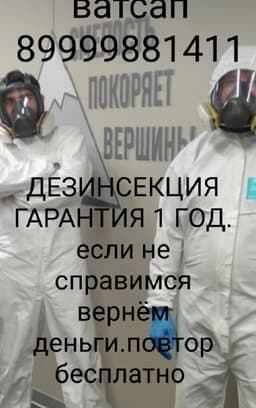 Дезинфекция 