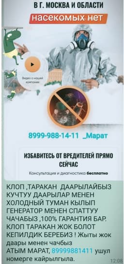 Дезинфекция 