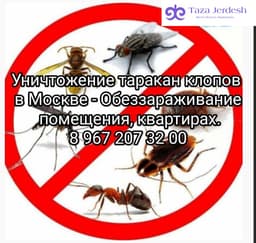 ДЕЗИНФЕКЦИЯ КЛОП ТАРАКАН