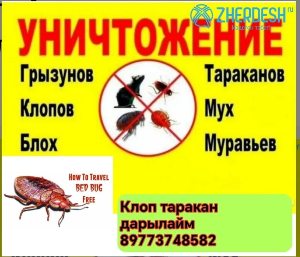 Дезинфекция клоп таракан дарылайбыз 