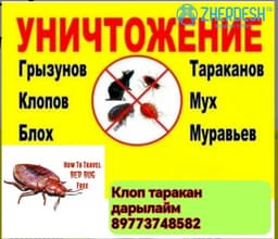 Дезинфекция клоп таракан дарылайбыз 