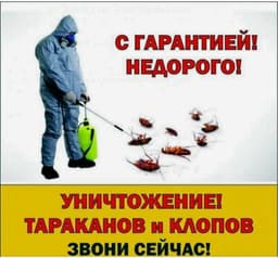 Дезинфекция клоп таракан дарылайбыз 