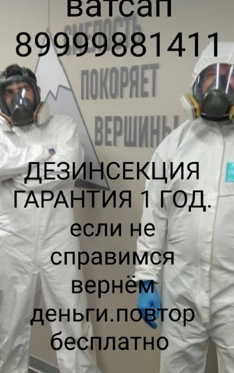 Дезинфекция 