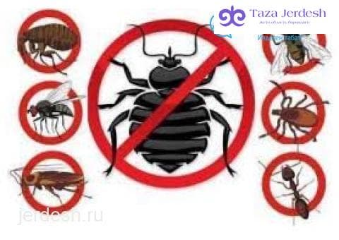 УВЕРЕННАЯ ДЕЗИНФЕКЦИЯ ЛЮБЫХ СЛОЖНОСТИ ☎️