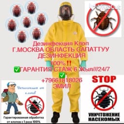 ДЕЗИНСЕКЦИЯ КЛОП ТАРАКАН САПАТТУУ 100% ГАРАНТИЯ 7АЙ 6 ЖЫЛ СТАЖ 24/7