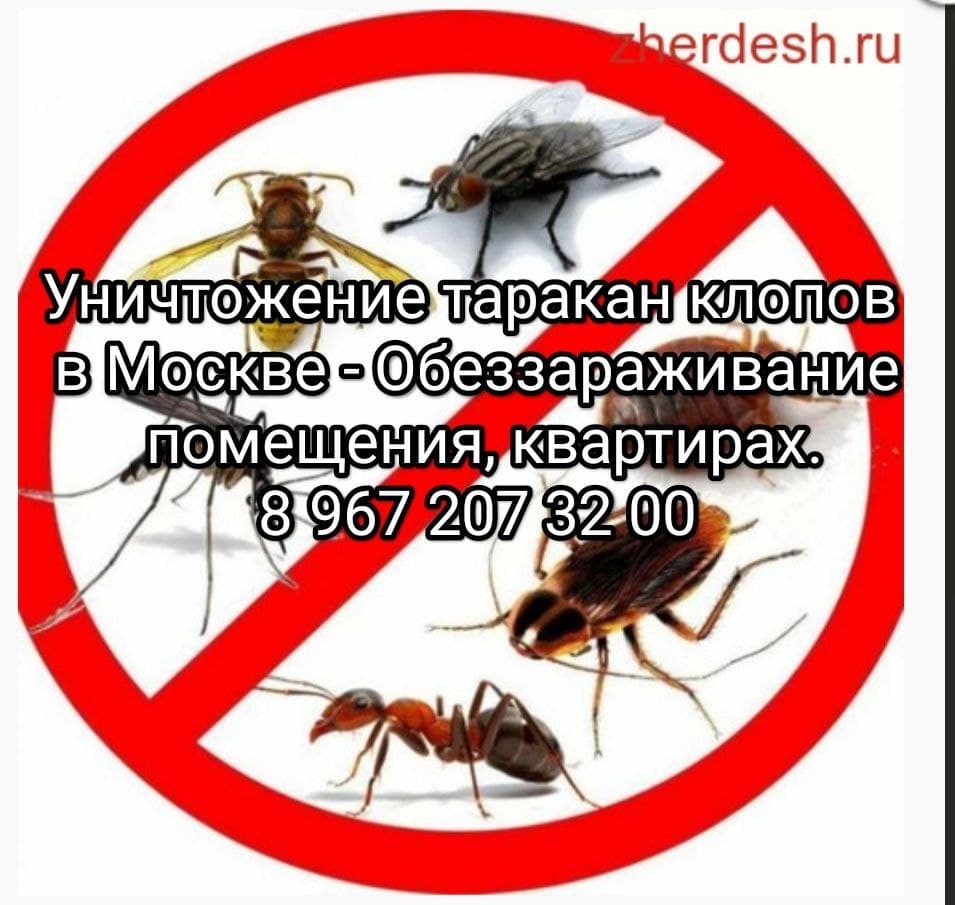 ДЕЗИНФЕКЦИЯ 