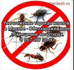 ДЕЗИНФЕКЦИЯ 