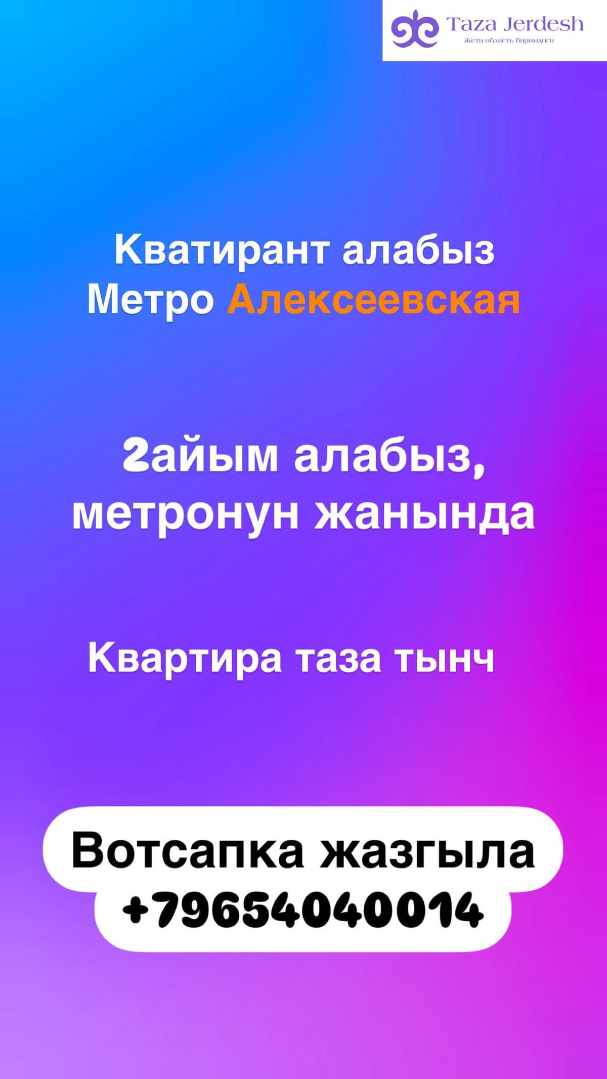 койко место берилет
